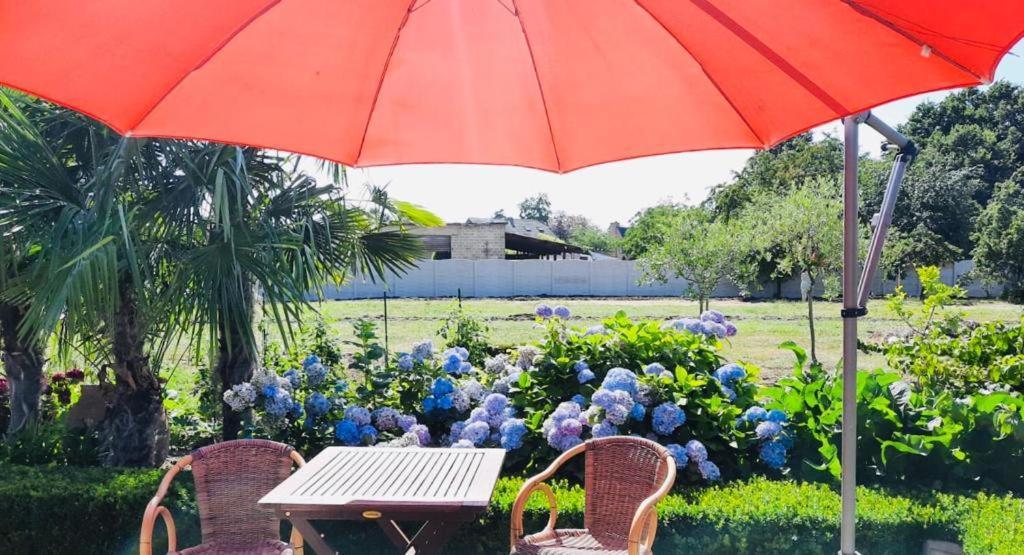 B&B Casa Roman & Vakantiewoning Voor 1 Pers Tot Max 32 Personen Zonhoven Exteriör bild