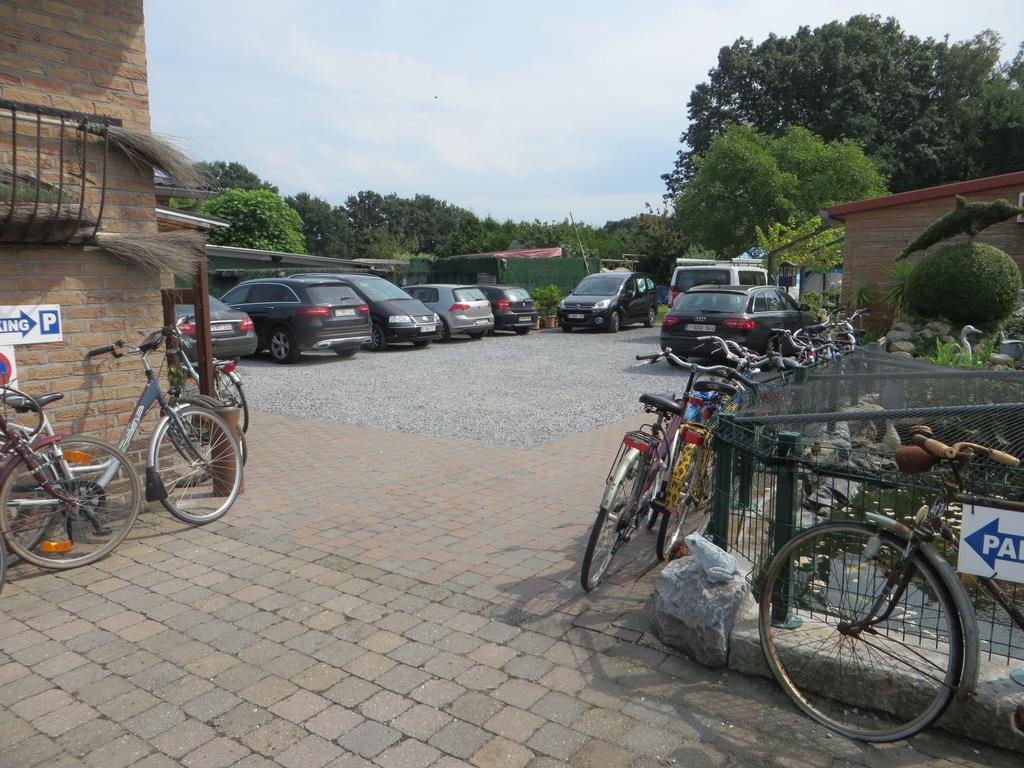B&B Casa Roman & Vakantiewoning Voor 1 Pers Tot Max 32 Personen Zonhoven Exteriör bild